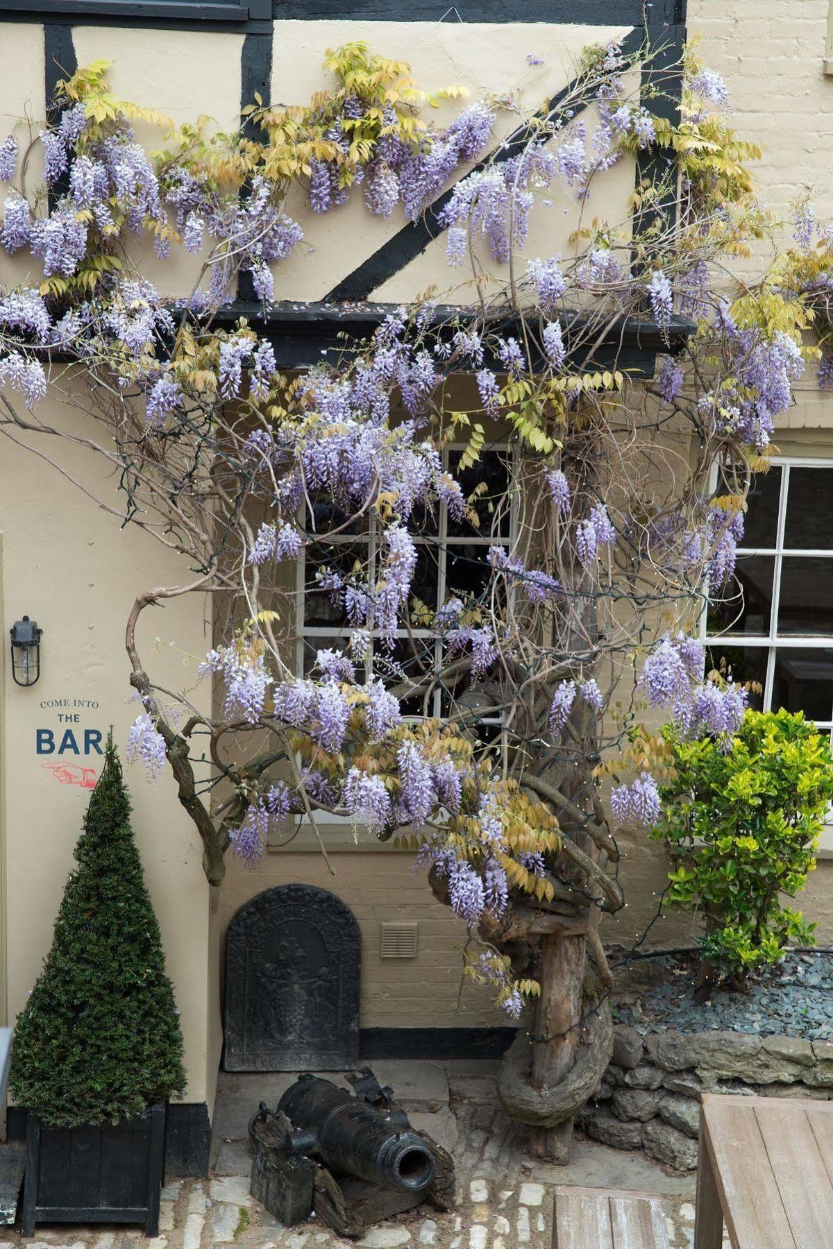 The Crown And Thistle Abingdon-on-Thames Exterior foto